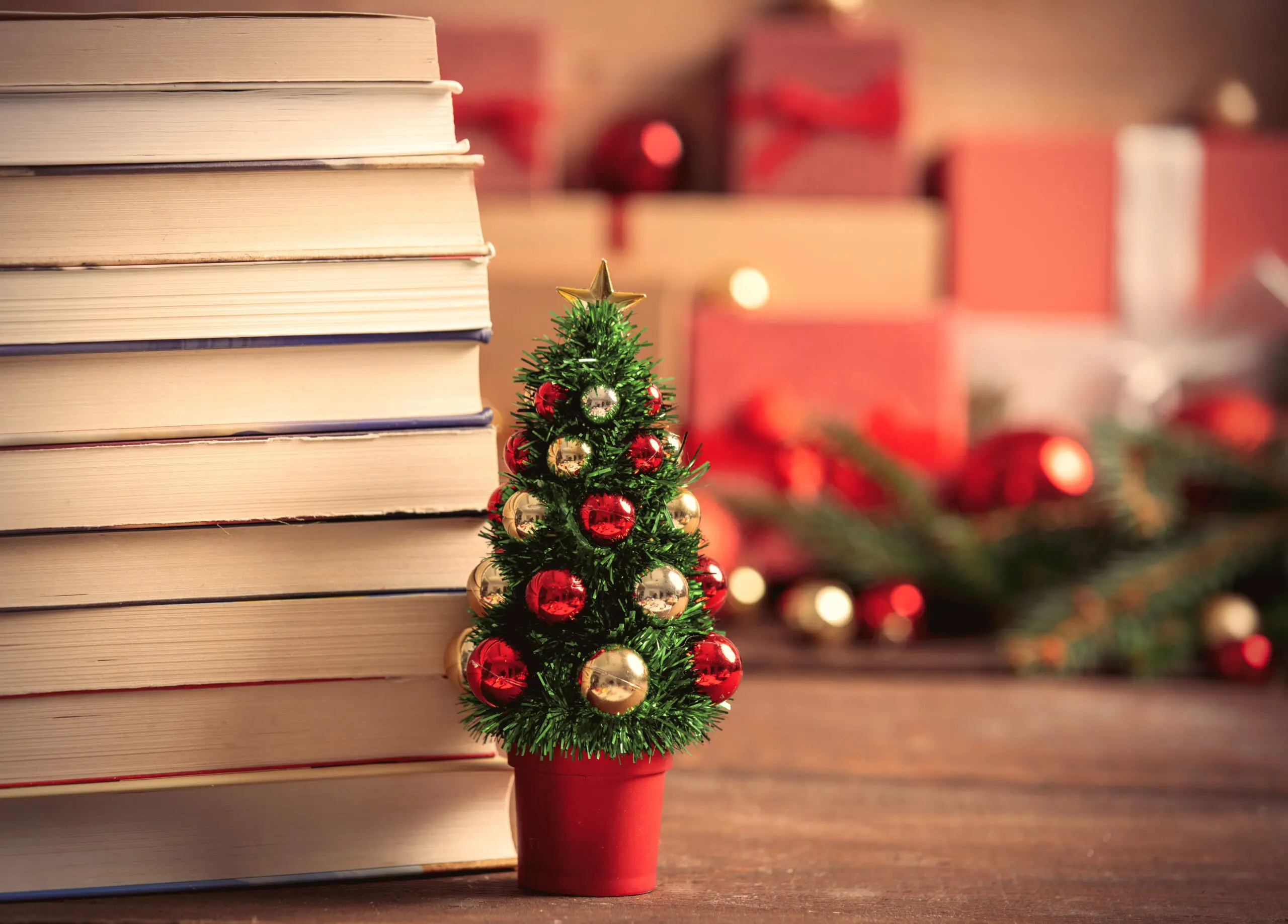 christmas presents for book lovers