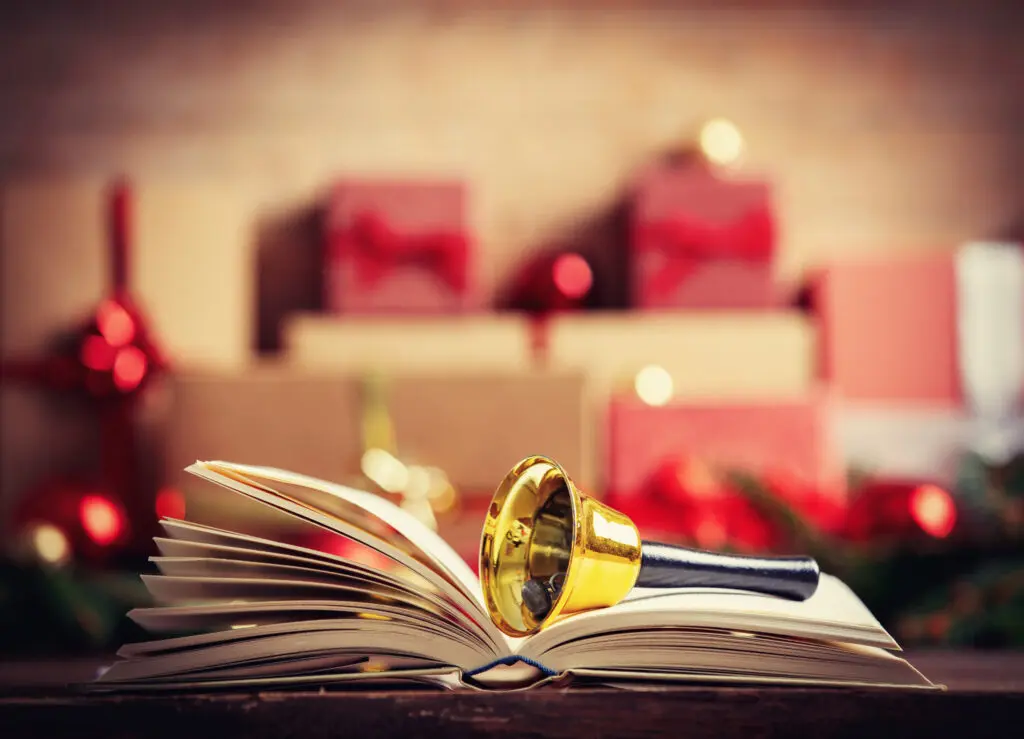 a christmas present for a book lover